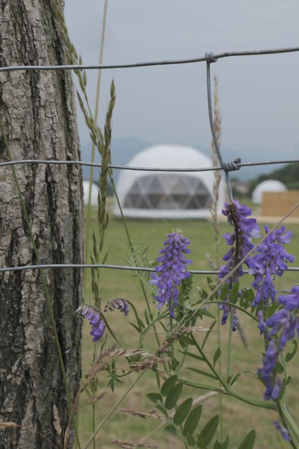Glamping Resort Dolny Kamenec Extérieur photo